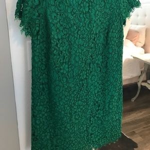 Zara Green Lace Mini Dress
